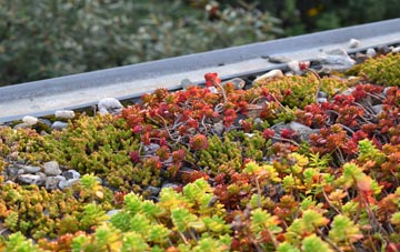 the cost of Talisker green roof installation