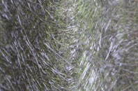 Talisker fibreglass roof work